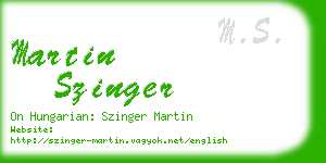 martin szinger business card